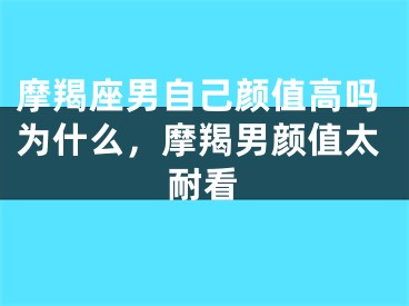 摩羯座男自己颜值高吗为什么，摩羯男颜值太耐看