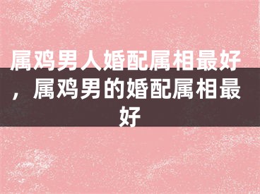 属鸡男人婚配属相最好，属鸡男的婚配属相最好