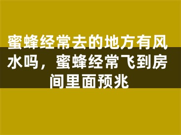 蜜蜂经常去的地方有风水吗,蜜蜂经常飞到房间里面预兆
