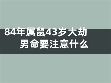 84年属鼠43岁大劫男命要注意什么