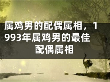 属鸡男的配偶属相,1993年属鸡男的最佳配偶属相