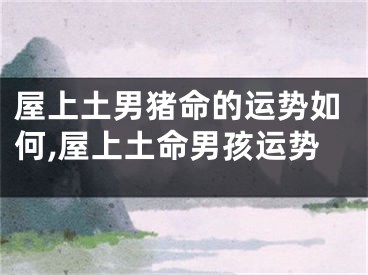 屋上土男猪命的运势如何,屋上土命男孩运势