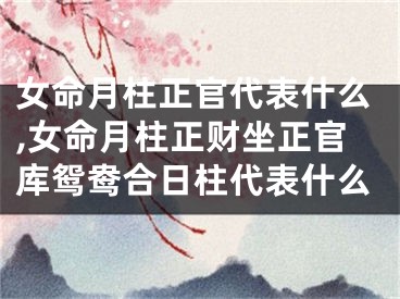 女命月柱正官代表什么,女命月柱正财坐正官库鸳鸯合日柱代表什么