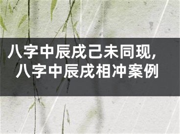 八字中辰戌己未同现,八字中辰戌相冲案例