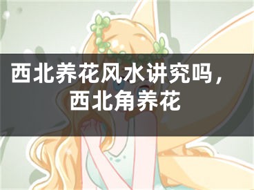 西北养花风水讲究吗,西北角养花