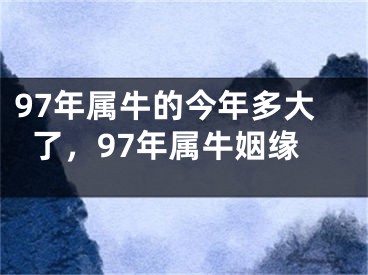 97年属牛的今年多大了，97年属牛姻缘