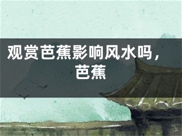 观赏芭蕉影响风水吗，芭蕉