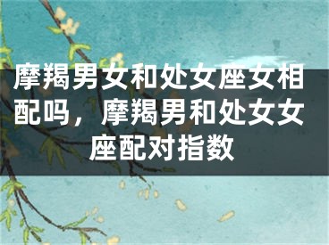 摩羯男女和处女座女相配吗，摩羯男和处女女座配对指数
