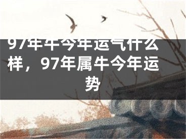 97年牛今年运气什么样，97年属牛今年运势