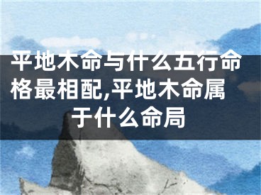 平地木命与什么五行命格最相配,平地木命属于什么命局