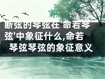 断弦的琴弦在'命若琴弦'中象征什么,命若琴弦琴弦的象征意义