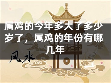 属鸡的今年多大了多少岁了,属鸡的年份有哪几年