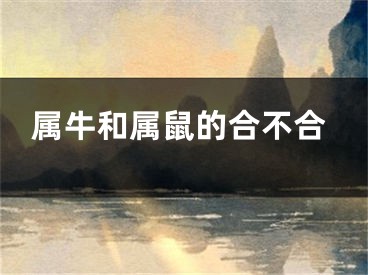 属牛和属鼠的合不合