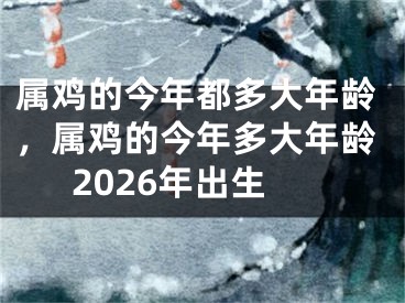 属鸡的今年都多大年龄,属鸡的今年多大年龄2026年出生