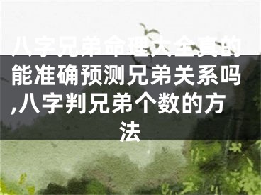 八字兄弟命理大全真的能准确预测兄弟关系吗,八字判兄弟个数的方法