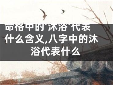 命格中的‘沐浴’代表什么含义,八字中的沐浴代表什么