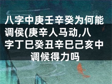 八字中庚壬辛癸为何能调侯(庚辛人马动,八字丁巳癸丑辛巳己亥中调候得力吗