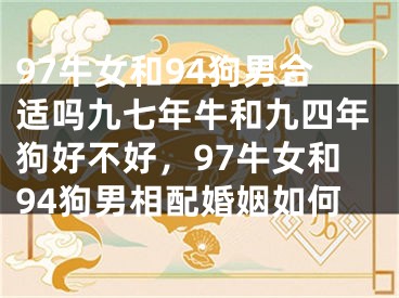 97牛女和94狗男合适吗九七年牛和九四年狗好不好,97牛女和94狗男相配婚姻如何