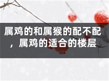 属鸡的和属猴的配不配,属鸡的适合的楼层