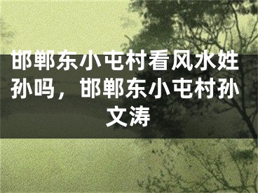 邯郸东小屯村看风水姓孙吗,邯郸东小屯村孙文涛