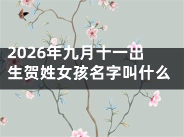 2026年九月十一出生贺姓女孩名字叫什么