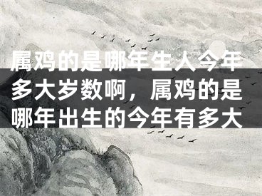 属鸡的是哪年生人今年多大岁数啊,属鸡的是哪年出生的今年有多大