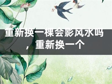 重新换一棵会影风水吗,重新换一个