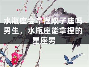 水瓶座会拿捏双子座吗男生，水瓶座能拿捏的星座男