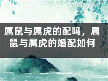 属鼠与属虎的配吗，属鼠与属虎的婚配如何