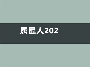 属鼠人202