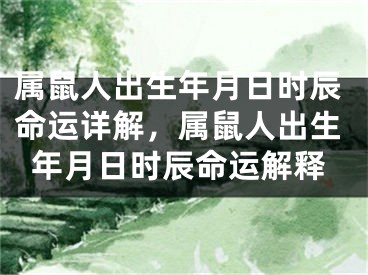 属鼠人出生年月日时辰命运详解,属鼠人出生年月日时辰命运解释