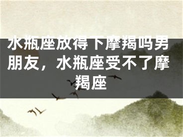 水瓶座放得下摩羯吗男朋友，水瓶座受不了摩羯座