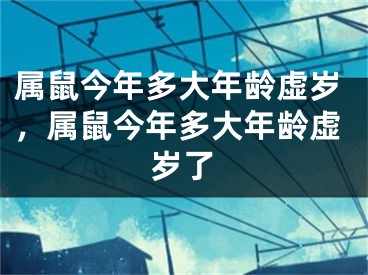 属鼠今年多大年龄虚岁，属鼠今年多大年龄虚岁了