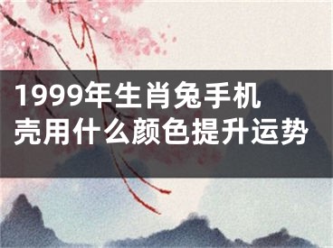 1999年生肖兔手机壳用什么颜色提升运势