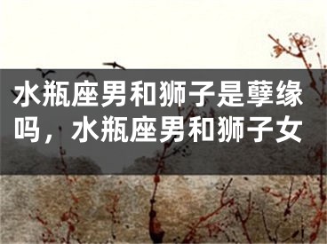 水瓶座男和狮子是孽缘吗，水瓶座男和狮子女