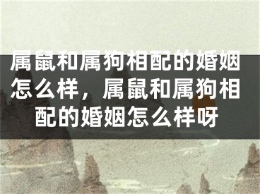 属鼠和属狗相配的婚姻怎么样，属鼠和属狗相配的婚姻怎么样呀