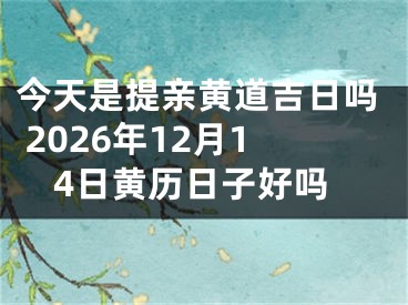 今天是提亲黄道吉日吗 2026年12月14日黄历日子好吗