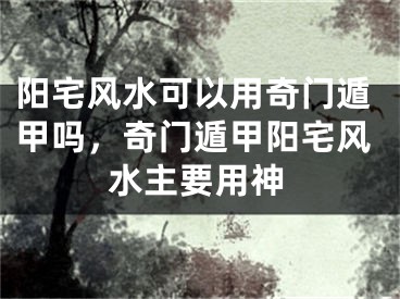 阳宅风水可以用奇门遁甲吗，奇门遁甲阳宅风水主要用神