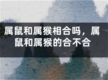 属鼠和属猴相合吗，属鼠和属猴的合不合
