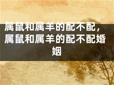 属鼠和属羊的配不配，属鼠和属羊的配不配婚姻