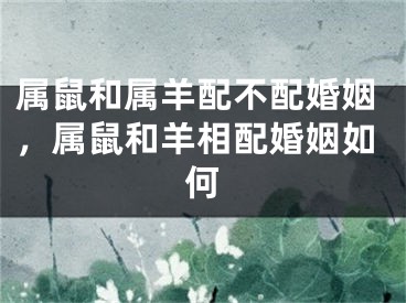 属鼠和属羊配不配婚姻，属鼠和羊相配婚姻如何
