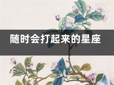 随时会打起来的星座