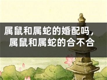 属鼠和属蛇的婚配吗，属鼠和属蛇的合不合