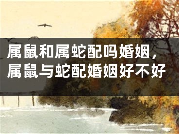 属鼠和属蛇配吗婚姻，属鼠与蛇配婚姻好不好