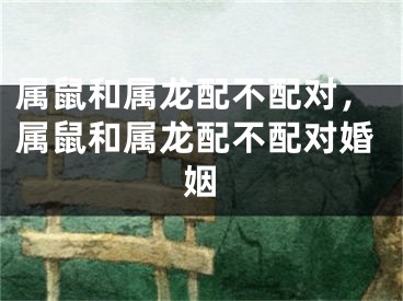 属鼠和属龙配不配对，属鼠和属龙配不配对婚姻
