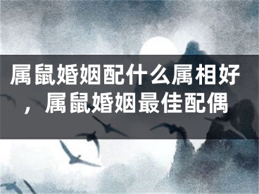 属鼠婚姻配什么属相好，属鼠婚姻最佳配偶 