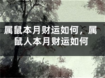 属鼠本月财运如何，属鼠人本月财运如何