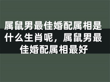 属鼠男最佳婚配属相是什么生肖呢,属鼠男最佳婚配属相最好