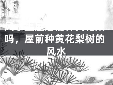 风水上屋后能种黄花梨吗，屋前种黄花梨树的风水