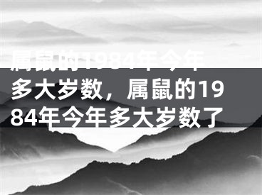 属鼠的1984年今年多大岁数，属鼠的1984年今年多大岁数了